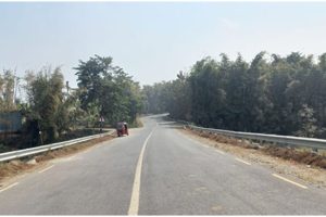 रुख कटान नहुँदा मदन भण्डारी राजमार्ग निर्माण प्रभावित