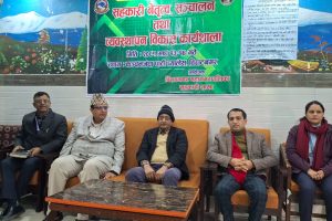 महानगरको आयोजनामा सहकारीका सञ्चालकलाई नेतृत्व र व्यवस्थापन तालिम