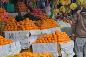 सुन्तला उत्पादन घटेपनि मूल्य वृद्धि हुँदा किसान उत्साहित