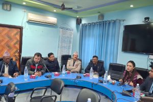 विराटनगर महानगरले महिलाको स्थितिपत्र तयार गर्दै 