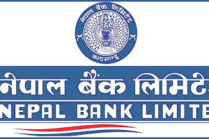 नेपाल बैंकको नाफासँगै प्रतिसेयर आम्दानी पनि घट्यो
