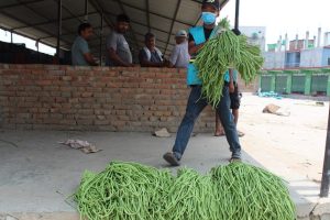 ६७ केजी विषादीयुक्त बोडी नष्ट