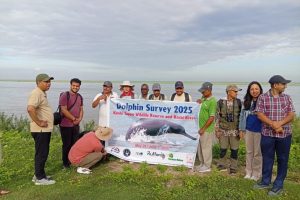 सप्तकोसीमा डल्फिन गणना