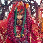 २०८१ साल असार ०४ गते बुधवार यस्तो रहेको छ तपाईको भाग्य, हेर्नुहोस् राशिफल